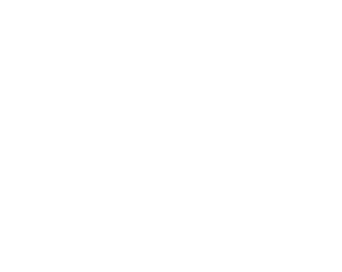 Bruce Perry Bloodstock Logo