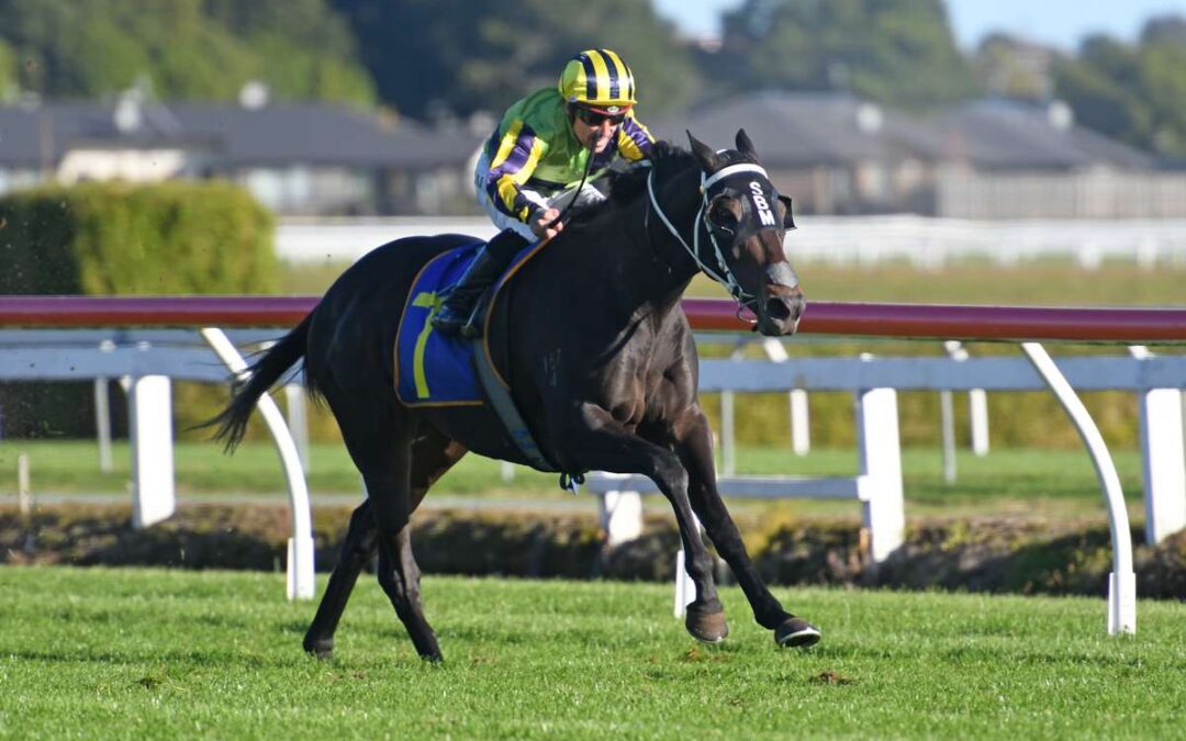 Pierina stunned in the Gr.2 Travis Stakes